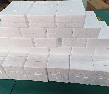 pack s4 pack s4