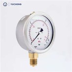 Manometro per test di pressione da 30 PSI