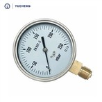 Manometro per liquidi da 1/4 NPT in ottone